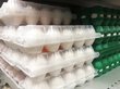 Импортные яйца оказались дороже российских