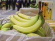 Мухи и оружие: почему Россия запретила эквадорские бананы