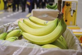 Бананы из Эквадора