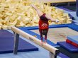 Российские гимнасты пропустят Олимпиаду в Париже
