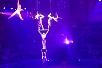 Падение гимнастки в цирке Новосибирска
