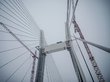 Четвертый мост в Новосибирске сдадут только к концу 2025 года