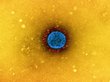 Грозящий всплеском штамм коронавируса FLiRT выявили в России