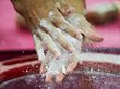 Участникам Олимпийских игр раздали салфетки для орального секса