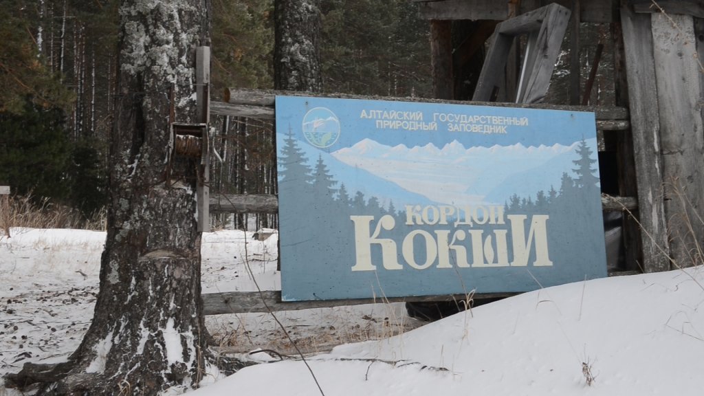 Алтайский заповедник водопад Кокши