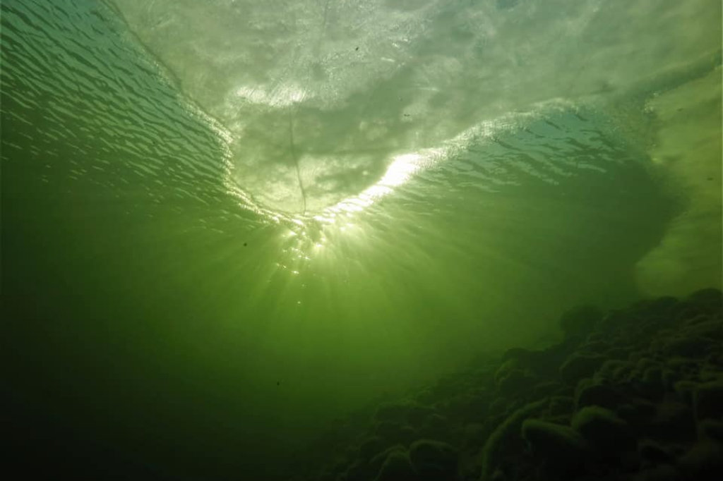 Телецкое озеро под водой