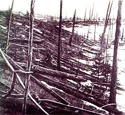 Фото: лес в тунгусской тайге близ предполагаемого места падения метеорита (сайт tonos.ru)