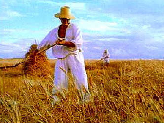 http://info.sibnet.ru/ni/223/223197b.jpg?t=1280319937