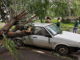 Фото Павла Комарова/Sibnet.ru