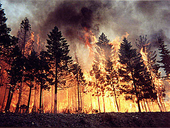 Фото с сайта www.wildlandfire.com