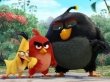 «Angry Birds в кино»: спасайте ваши яйца!