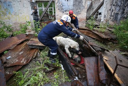 info.sibnet.ru