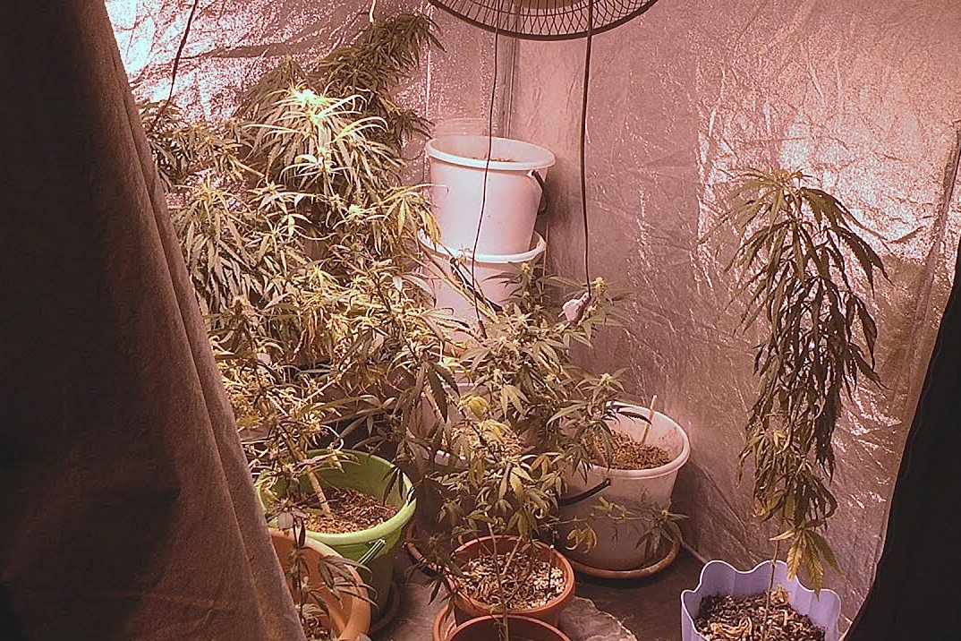 как спрятать марихуану дома