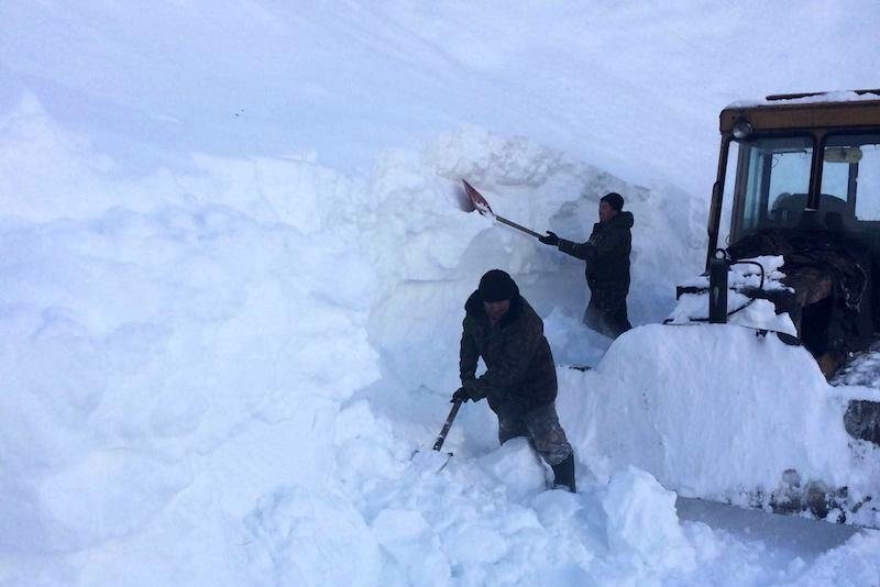 Снег на алтае сегодня фото выпал