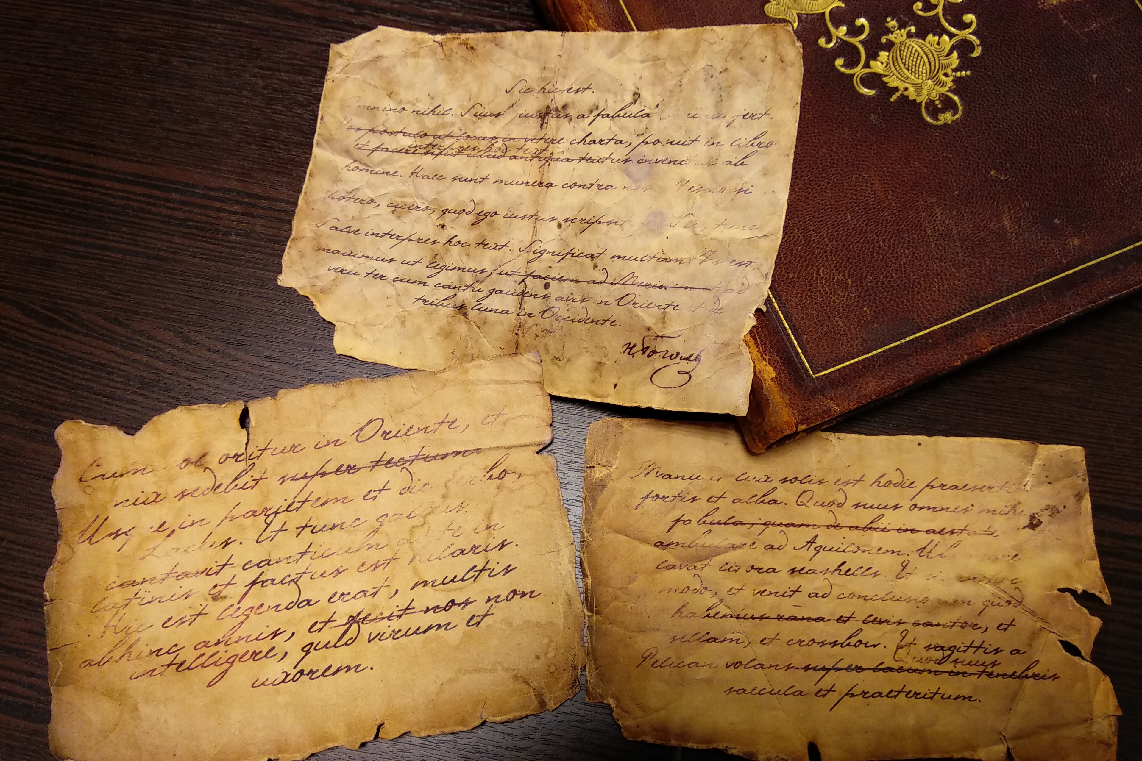Найдена древняя рукопись. Старинные рукописи. Старинные книги и свитки. Старинный Манускрипт. Старинные письменные рукописи.