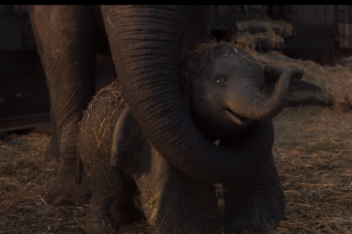 Disney опубликовал трейлер фильма про слоненка Дамбо