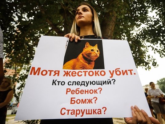 Кот мотя