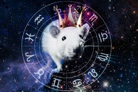 info.sibnet.ru