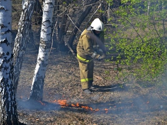 info.sibnet.ru