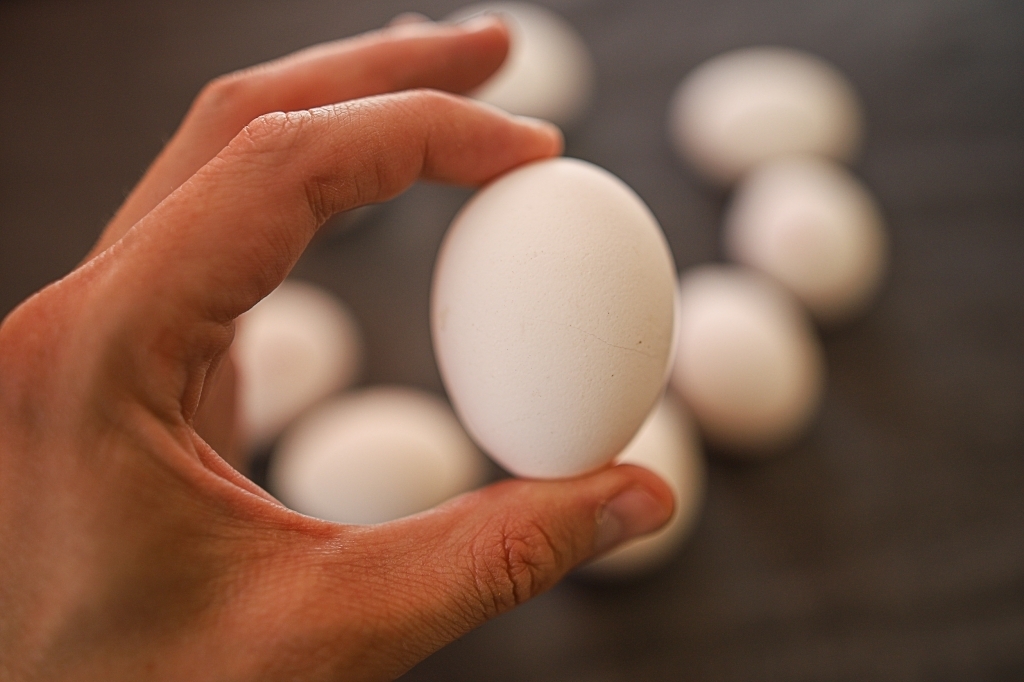 Фотки яичек. Яйцо куриное. Яйцо в руке. Куриное яйцо в руке. Яйцо в ладони.