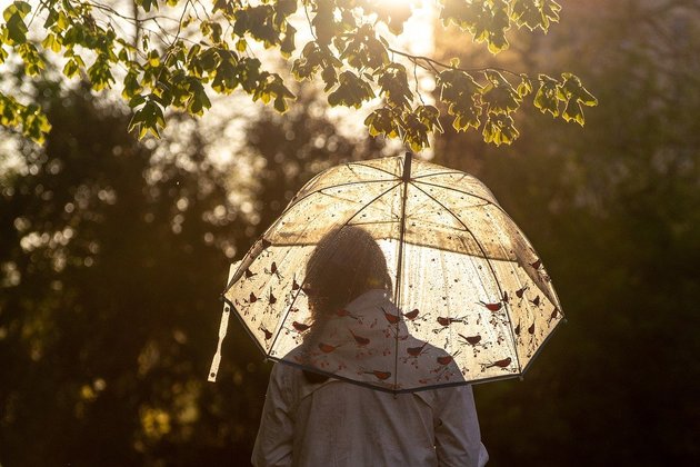 Девушка с зонтом под деревом