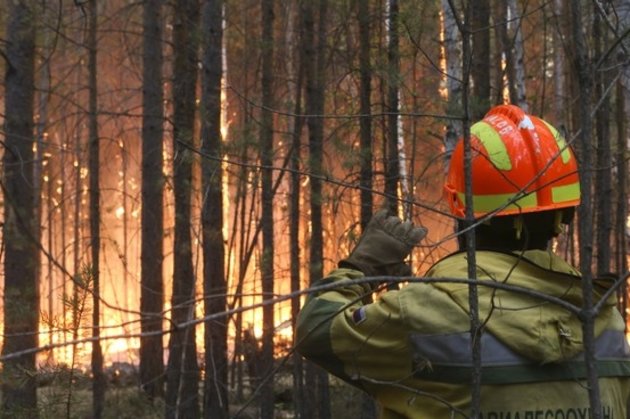 Сотрудник авиалесоохраны на тушении пожара в Якутии