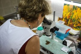 Археолог изучает артефакты под микроскопом