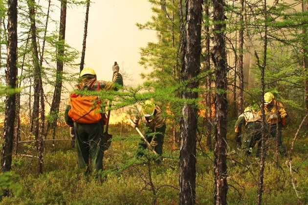 Пожарные в лесу Иркутской области