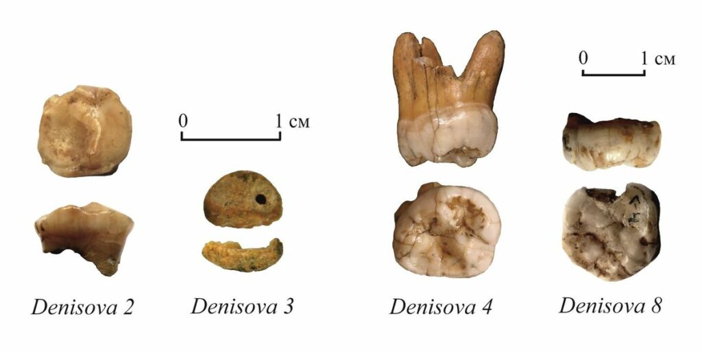 Кости денисовцев, найденные в пещере