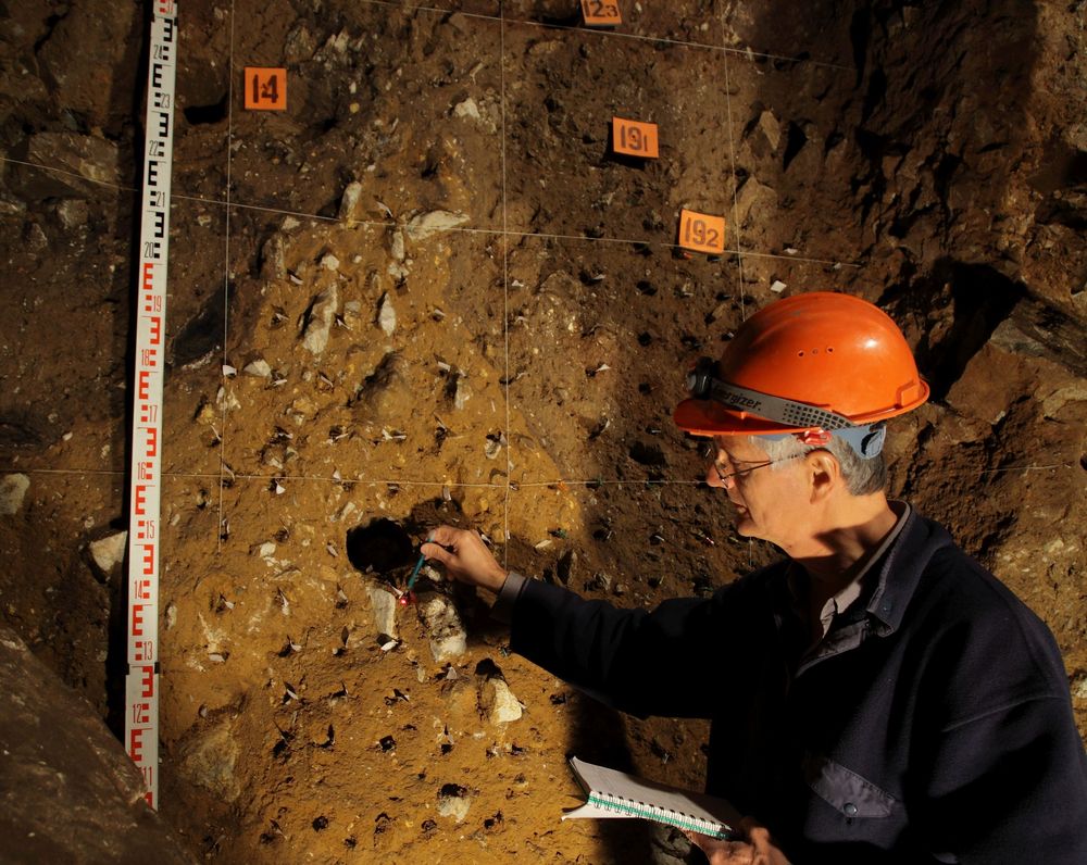 Работа археологов в Денисовой пещере