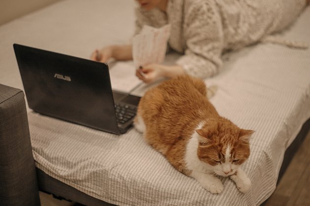Девушка работает за ноутбуком из дома