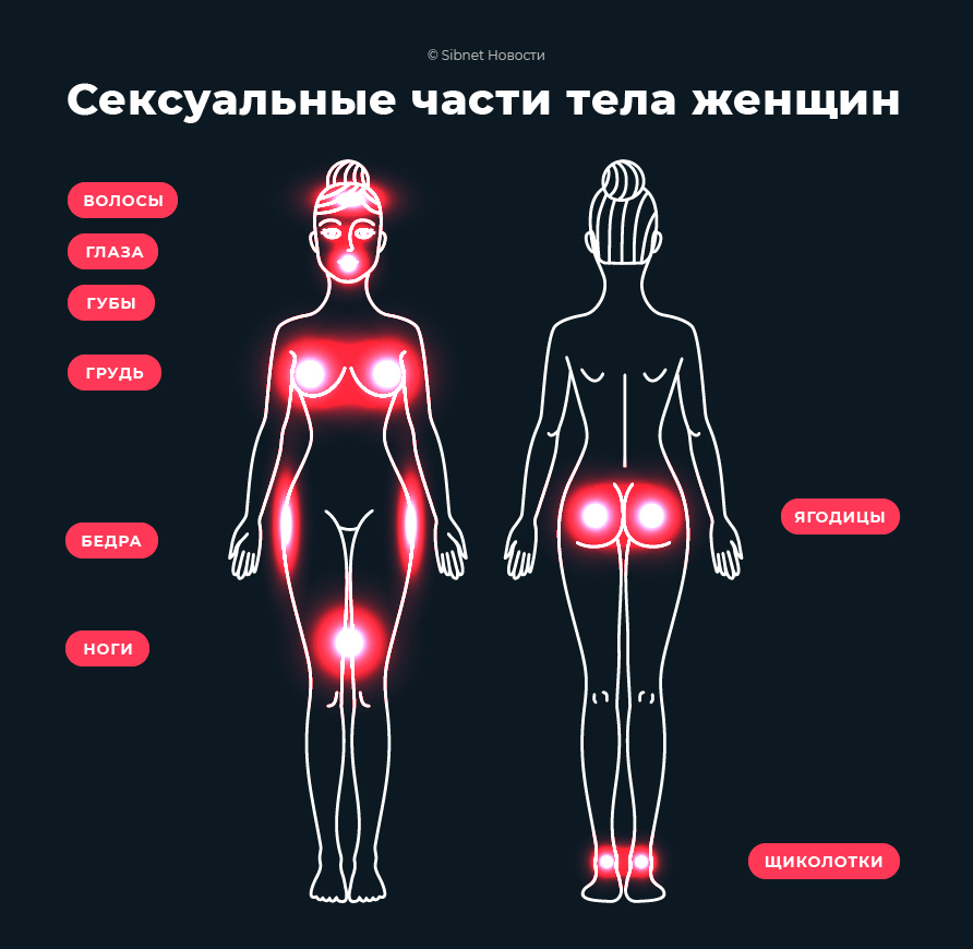 Какие части тела женщин привлекают мужчин - Отношения - info.sibnet.ru