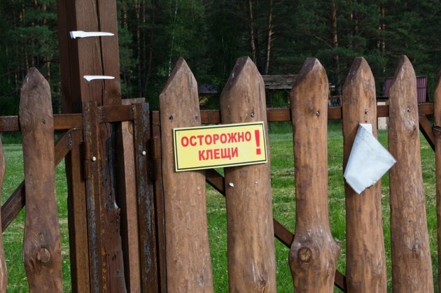 клещ, осторожно, забор
