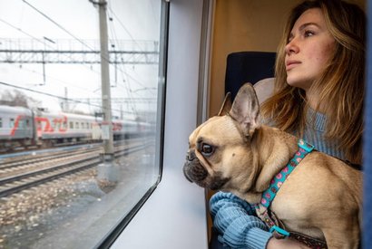 Пассажир в поезде с собакой