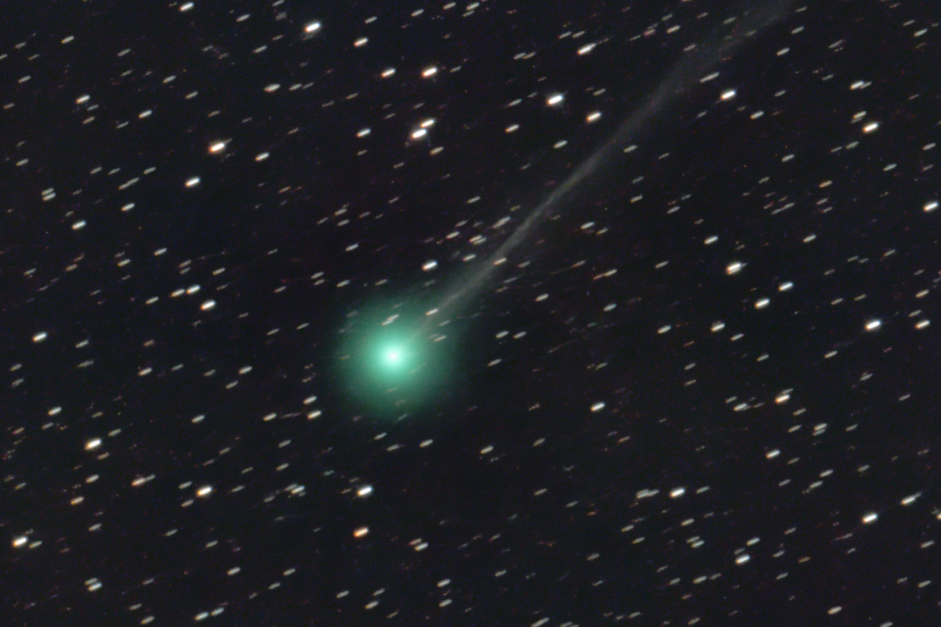 В какое время можно увидеть комету. Зеленая Комета. Комета с зеленым хвостом. Зелёная Комета 2024. Долгопериодические кометы.