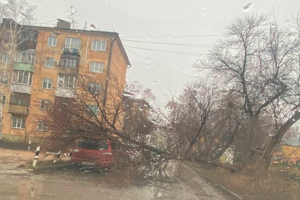 Поваленные ураганом деревья в Новосибирске
