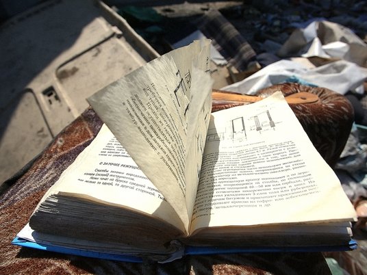 Растрепанная книга