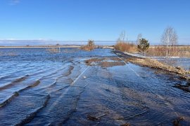 Паводок в Алтайском крае