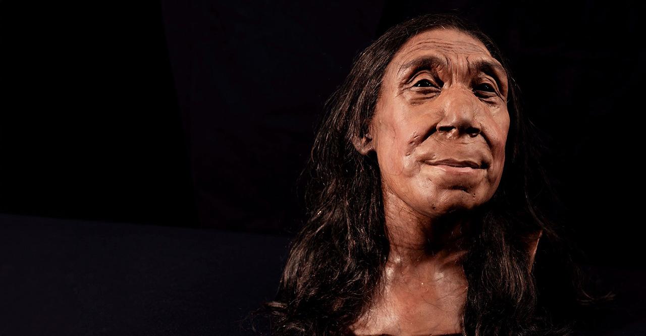Внешность неандертальской женщины 
