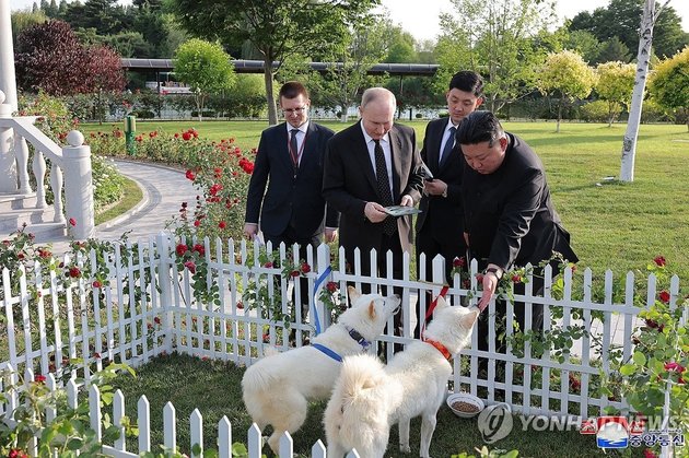 Владимир Путин и Ким Чен Ын с собаками пхунсан