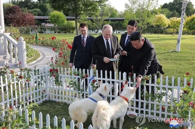 Владимир Путин и Ким Чен Ын с собаками пхунсан