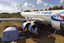 Airbus A320 «Уральских авиалиний» в поле под Новосибирском