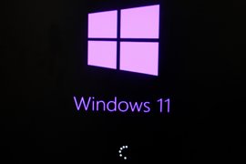 Windows 11