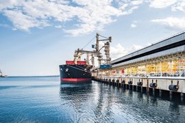 Зерновой терминал в порту Новороссийска