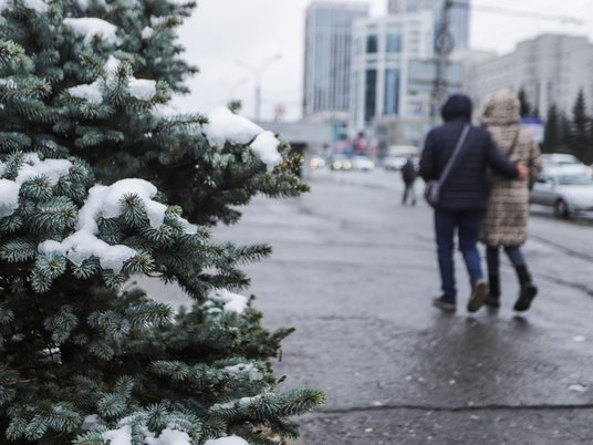 Заморозки