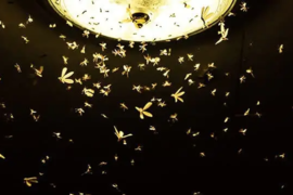 Насекомые у лампы