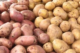 Картофель