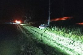 ВАЗ-2107 после столкновения с лосем на трассе в Чулымском районе Новосибирской области