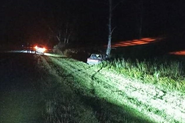 ВАЗ-2107 после столкновения с лосем на трассе в Чулымском районе Новосибирской области