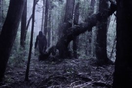 Йети, снежный человек